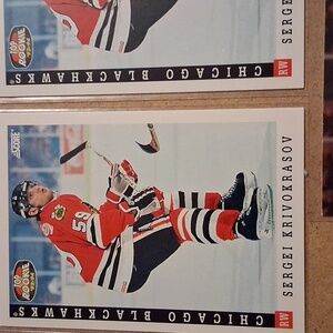Sergei Krivokrasov Predators/ Chicago Blackhawks Hockey Cards